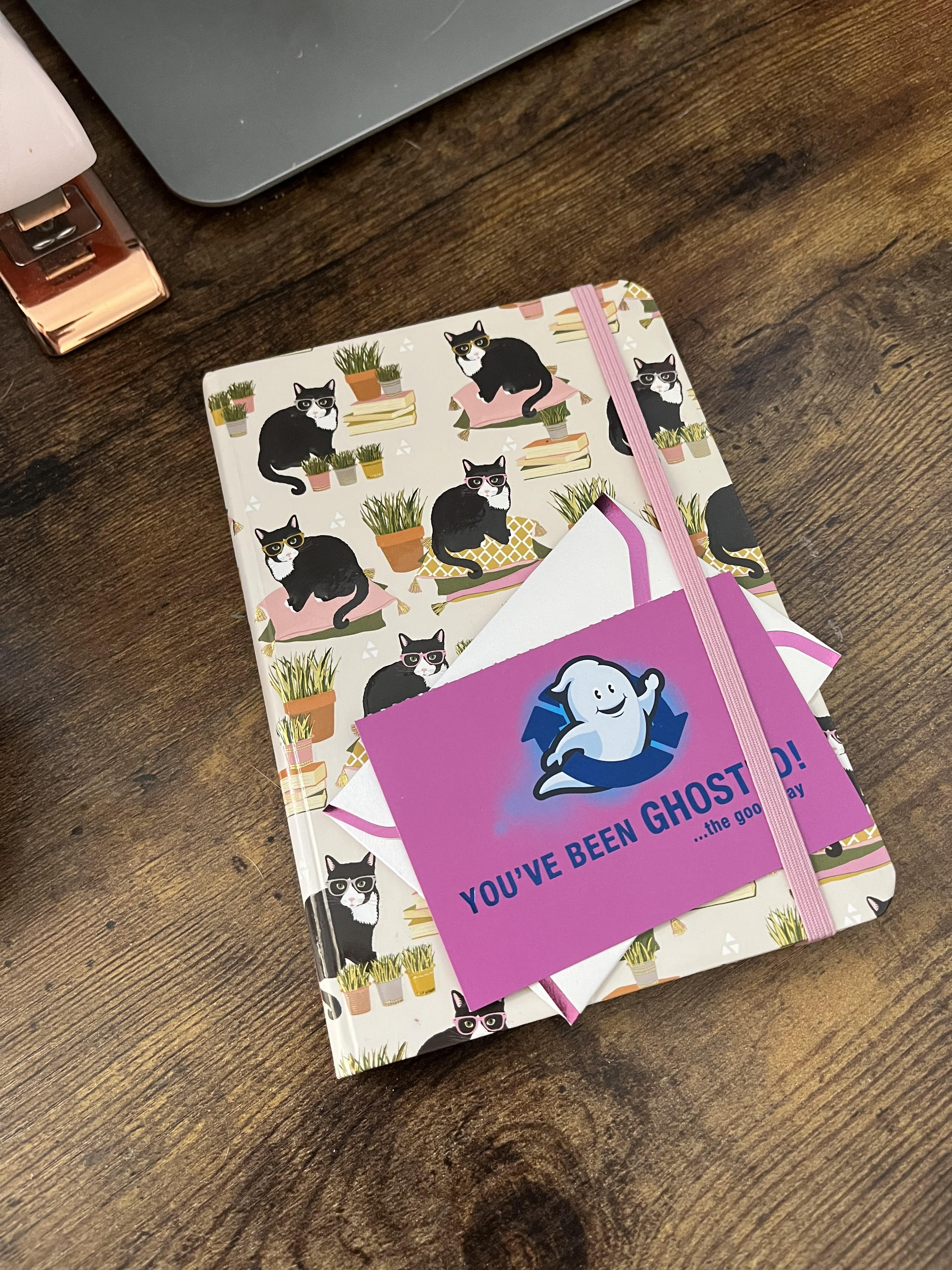 Little Cat Journal—An Unexpected Kindness